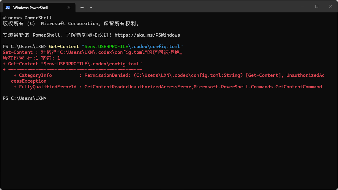 Codex 配置文件拒绝访问错误